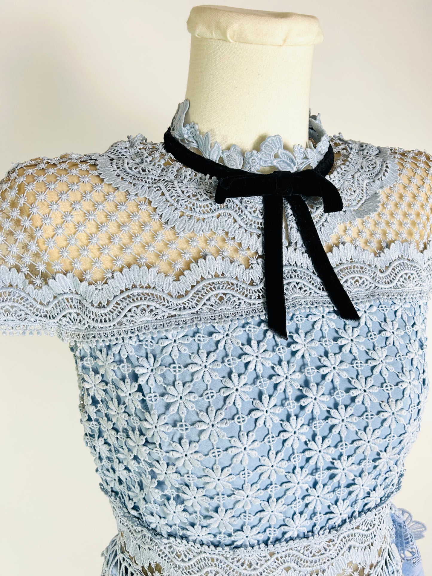Self Portrait Blue Lace Dress