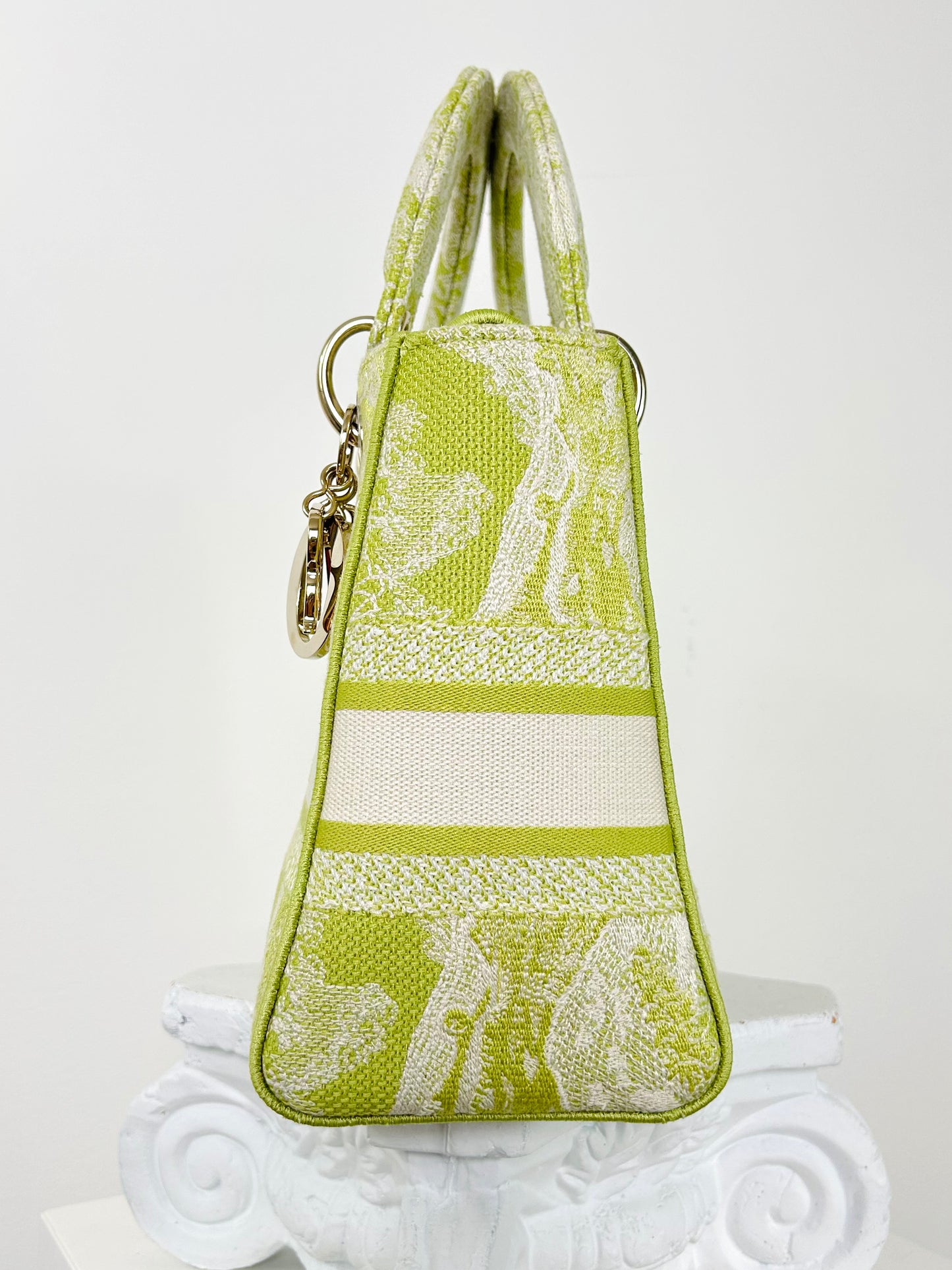 Christian Dior D-Lite Toile Bag