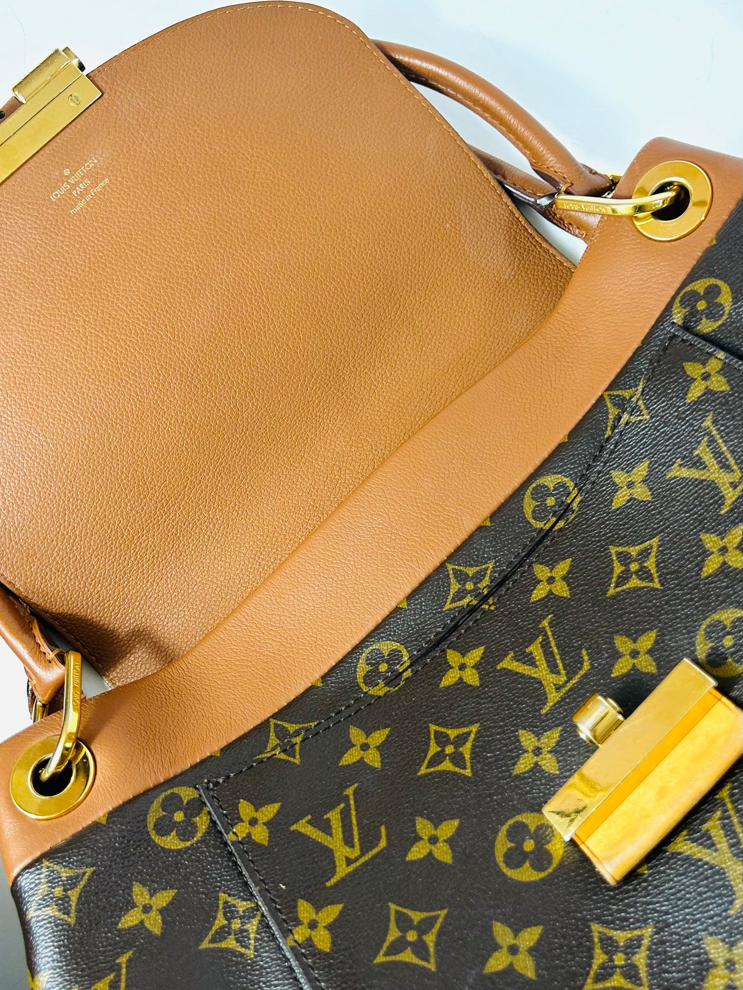 Louis Vuitton Hand Bag