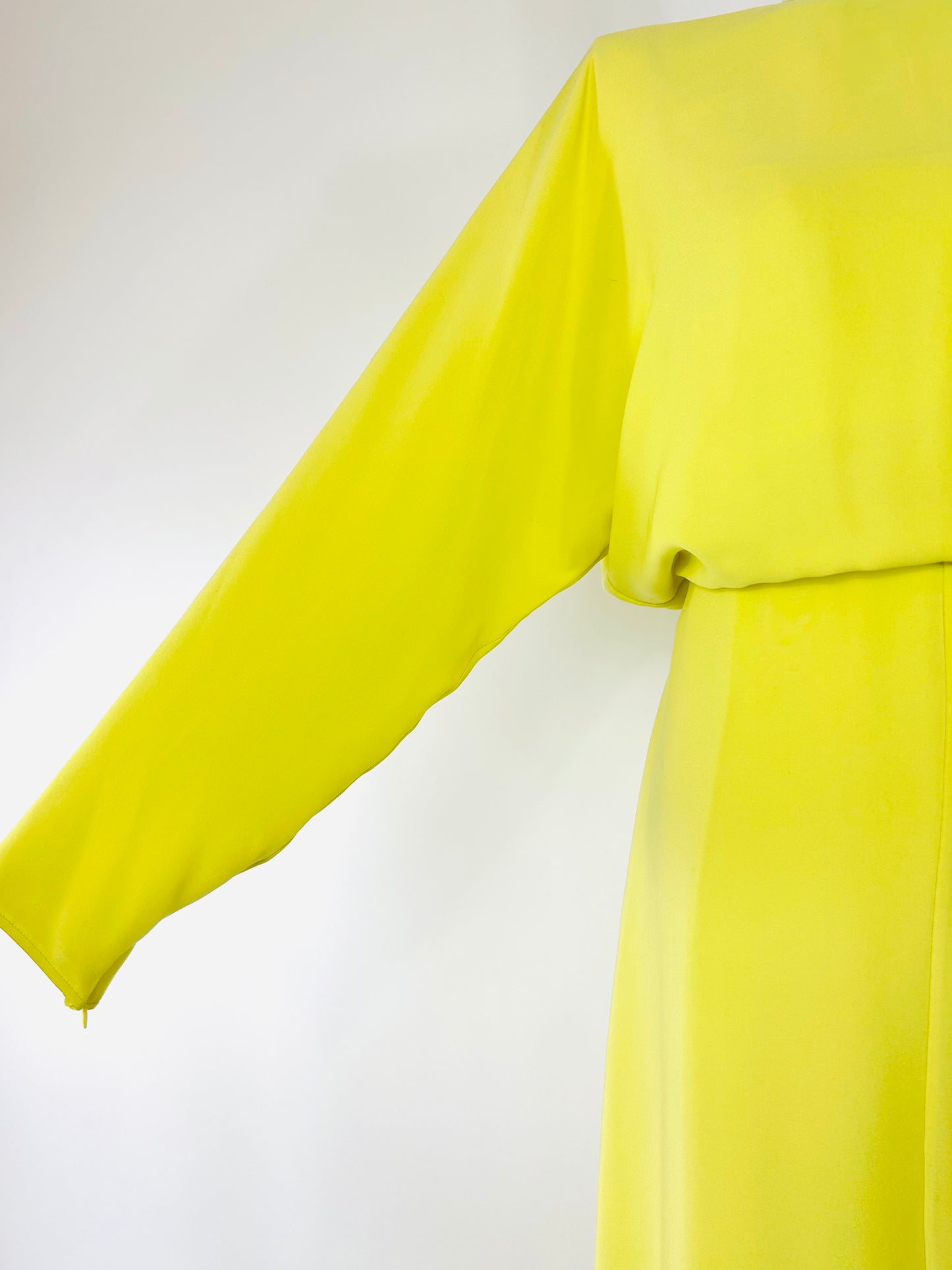 Valentino Citron Dress