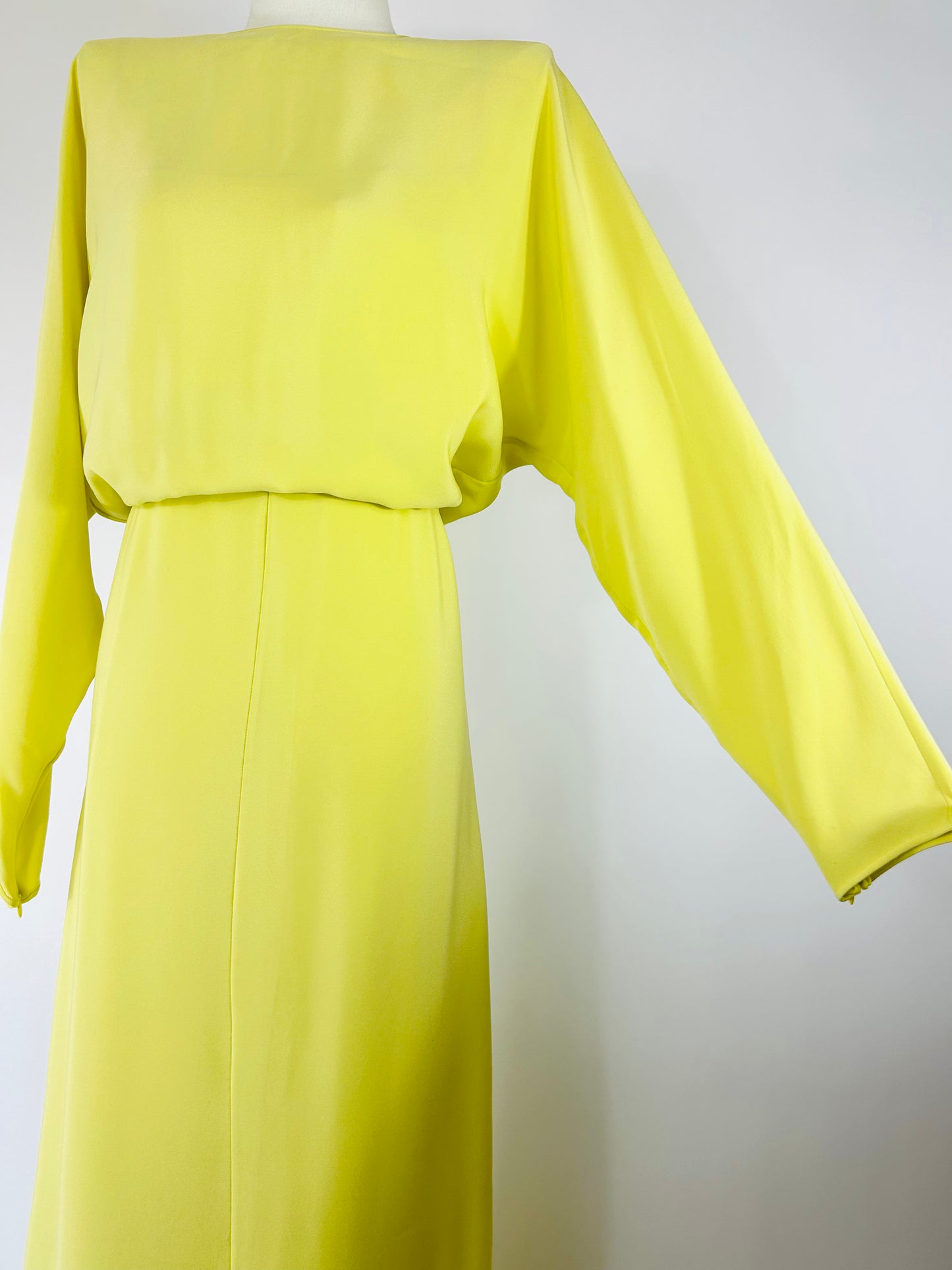 Valentino Citron Dress
