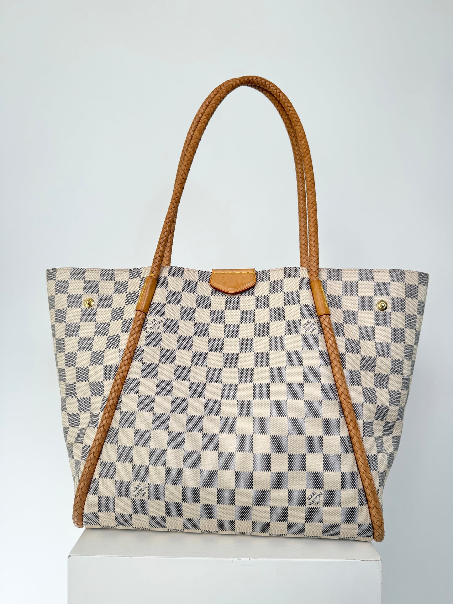 Louis Vuitton Propriano Bag