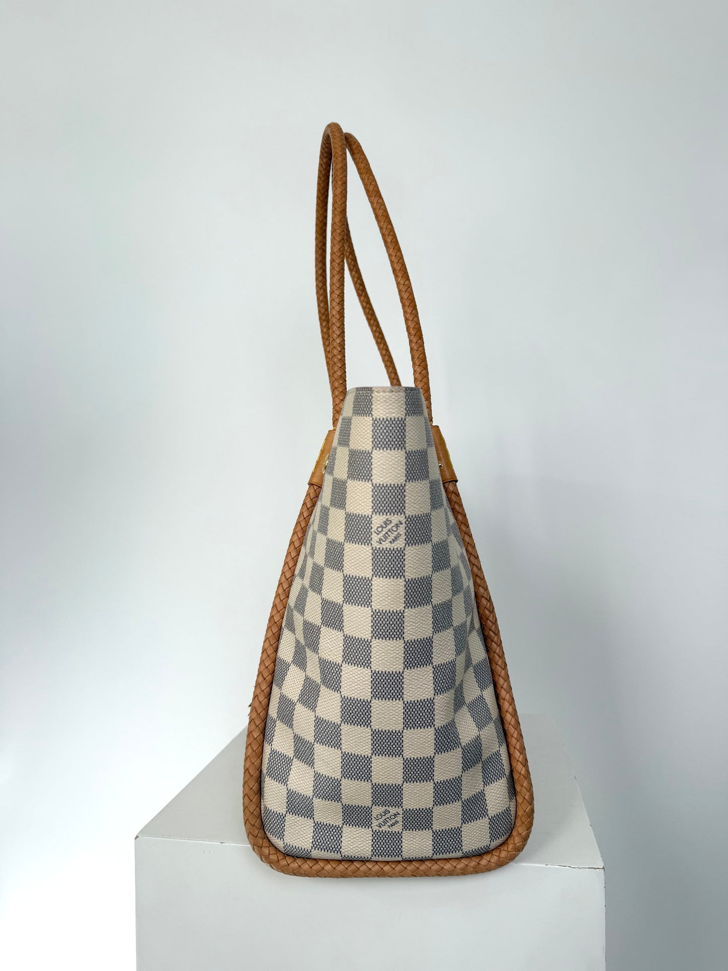 Louis Vuitton Propriano Bag