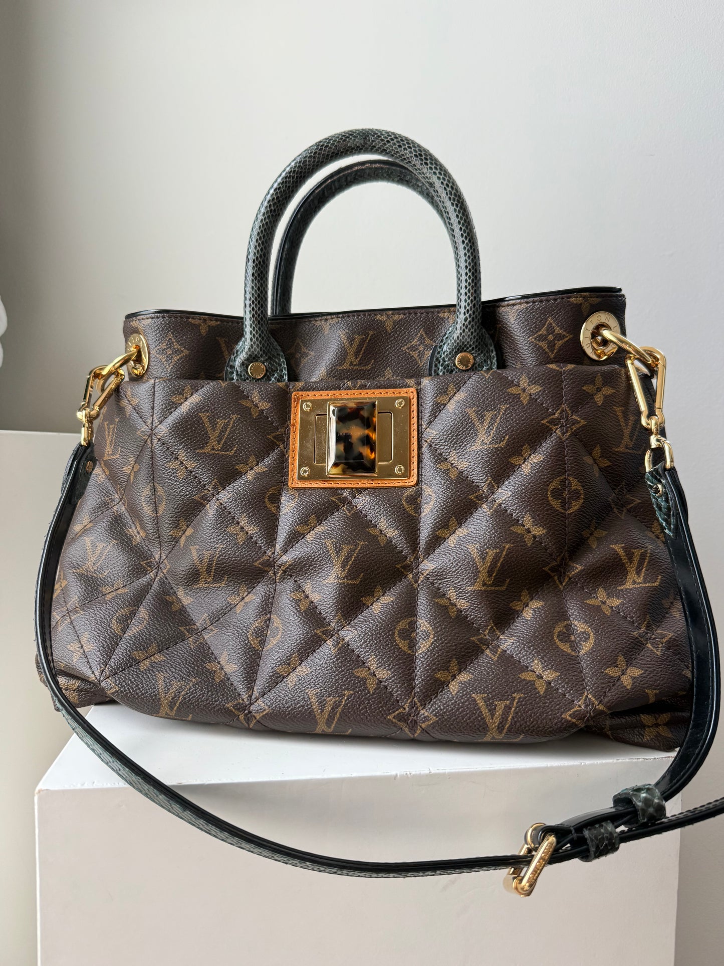 Louis Vuitton Etoile Exotique Tote